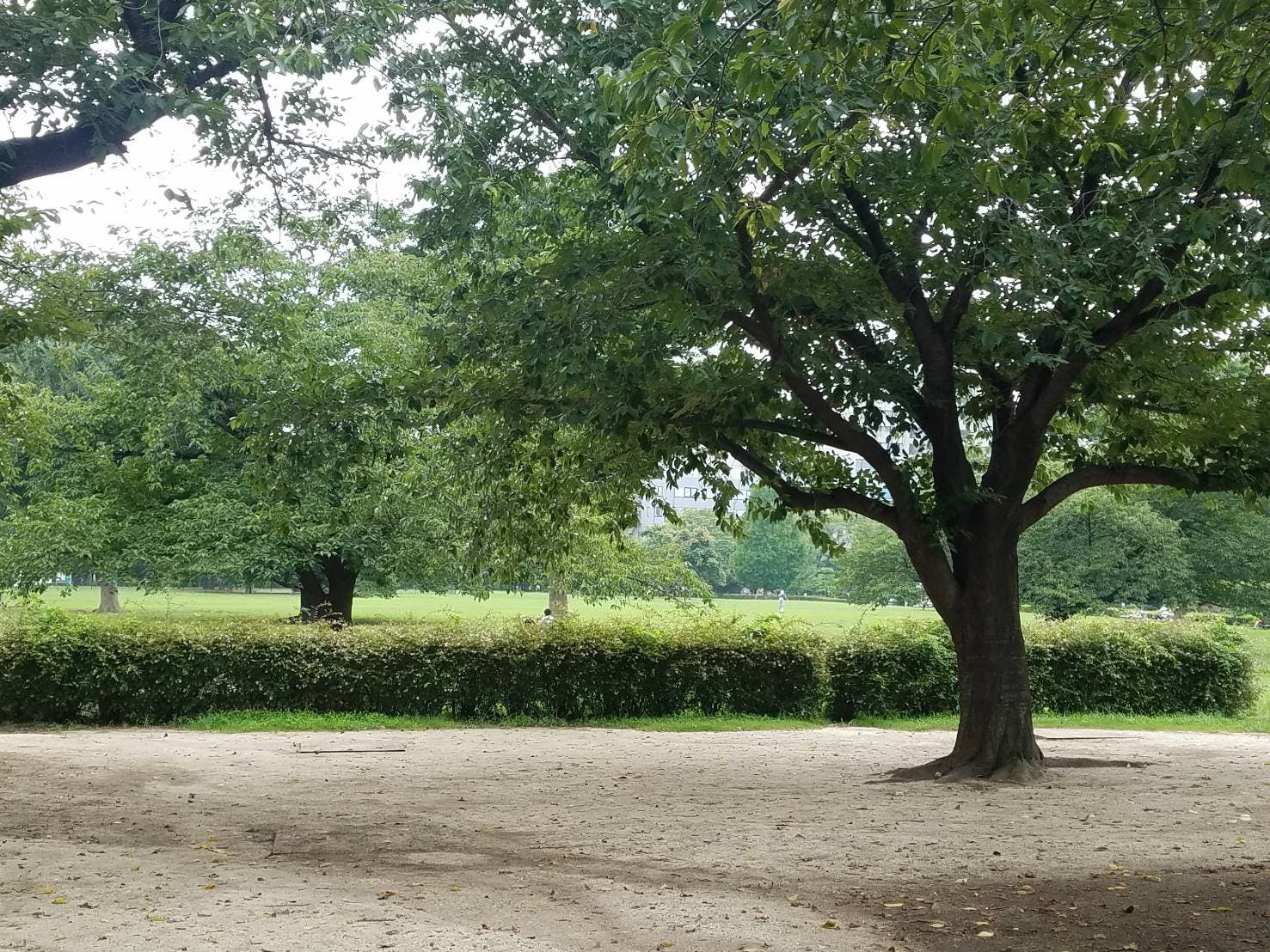 都立木場公園バーベキュー広場のサブ写真3