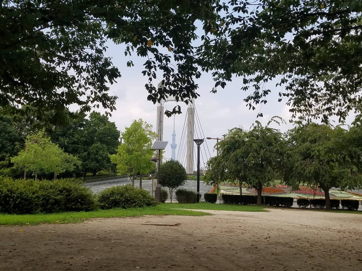 とにかくエキチカ！とにかく手ぶら！広大な自然あふれる木場公園でスカイツリーを見ながらBBQ！