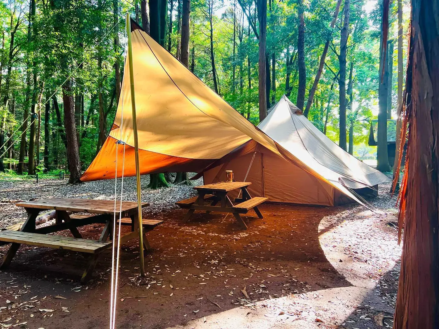 RECAMP しょうなんの2枚目画像