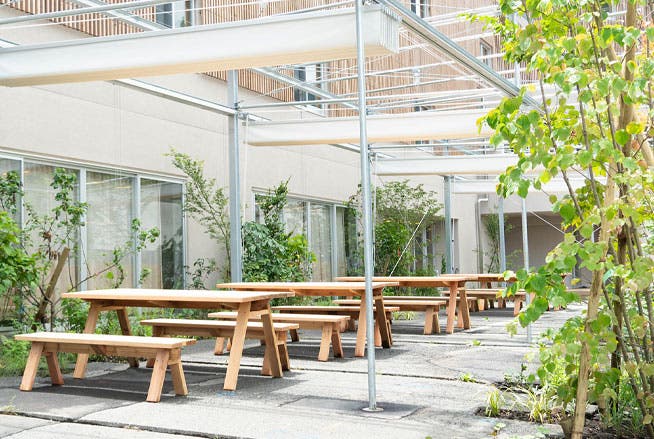 タカオネのサブ写真4