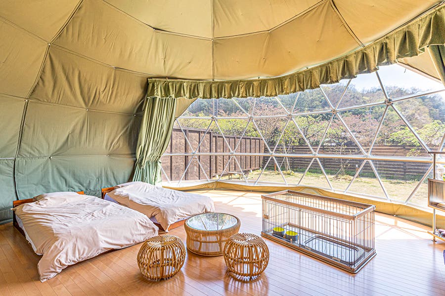 アクアヴィレッジ京都天橋立のサブ写真7