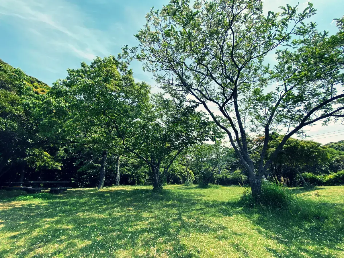 田万川温泉の3枚目画像