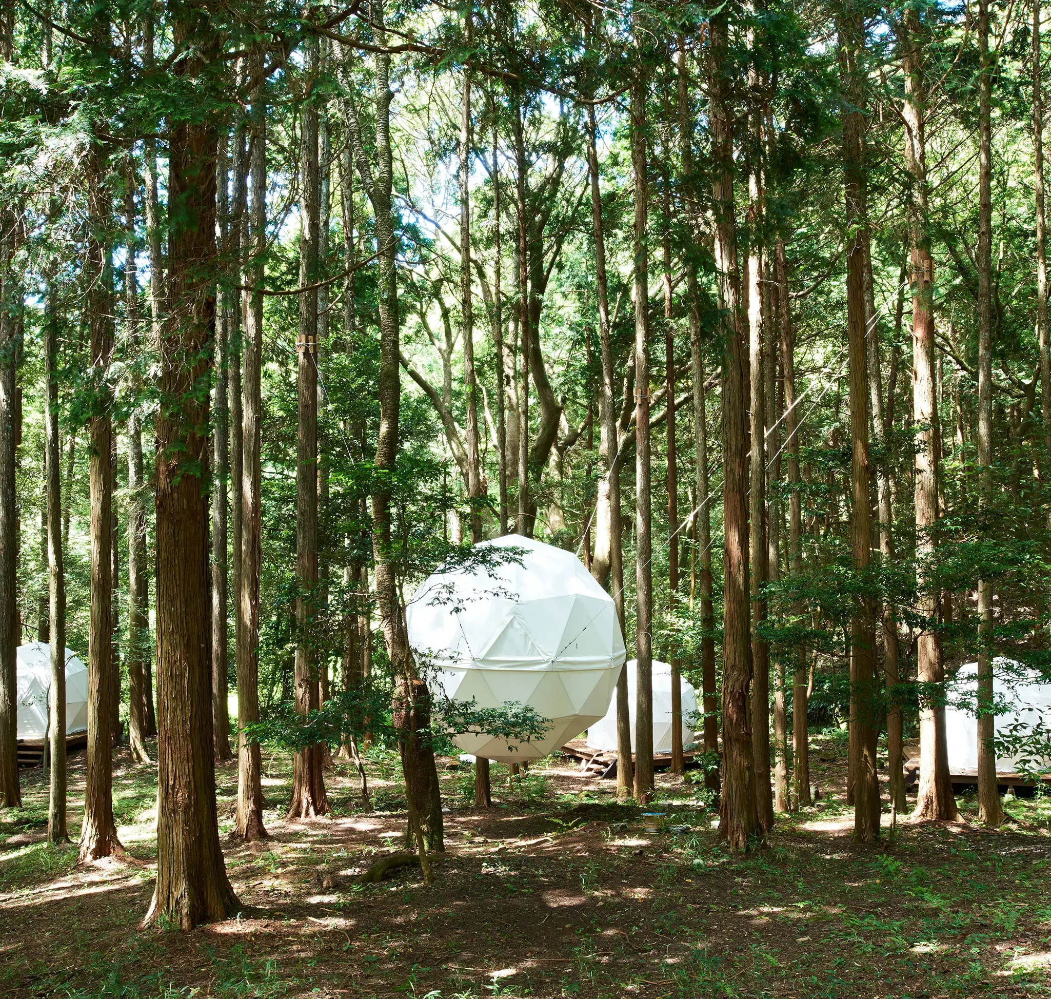 INN THE PARK 沼津の1枚目画像