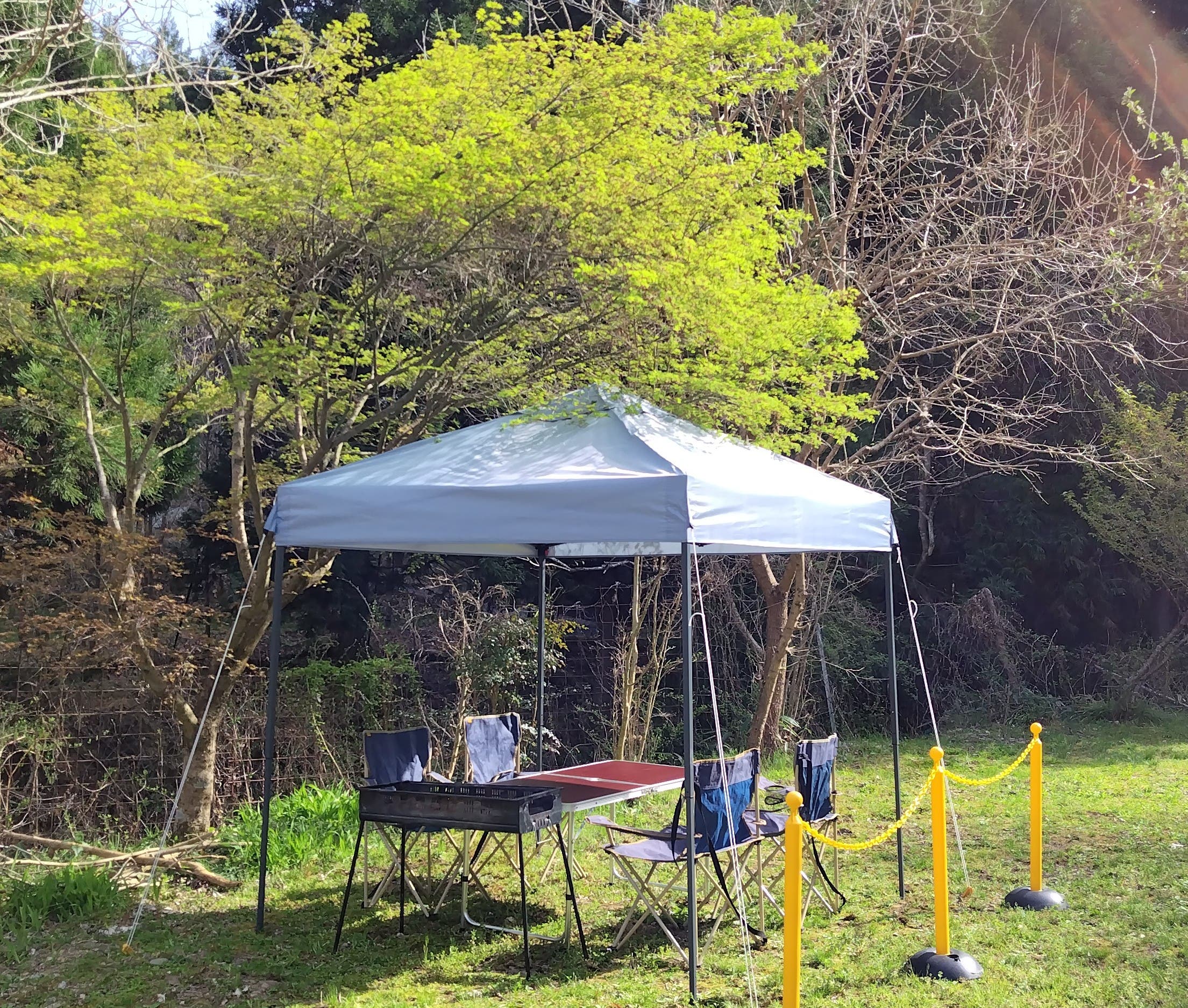 芦見谷芸術の森のサブ写真3