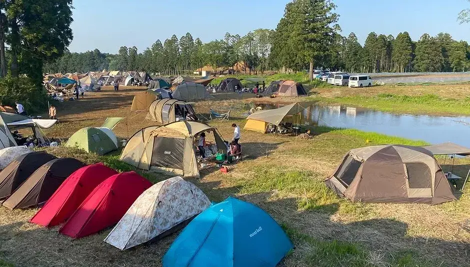 CAMPCHIBA満天の森の1枚目画像