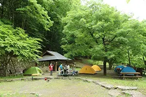 山のふるさと村キャンプ場の2枚目画像