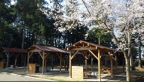 茎崎こもれび六斗の森の2枚目画像
