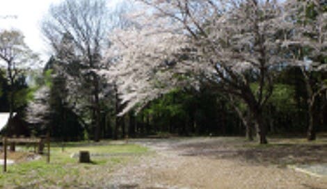 茎崎こもれび六斗の森のサブ写真5