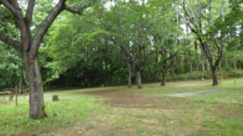 茎崎こもれび六斗の森のサブ写真6