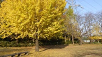 茎崎こもれび六斗の森のサブ写真7