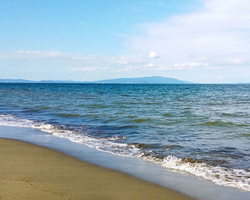 小松海岸緑地の1枚目画像