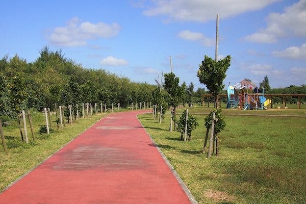 パイナガマ海空すこやか公園のサブ写真5