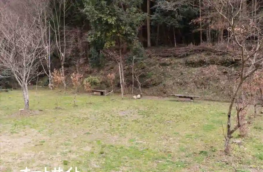 竜門上杉キャンプ場の2枚目画像