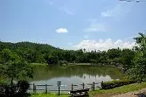いこいの森キャンプ場の2枚目画像