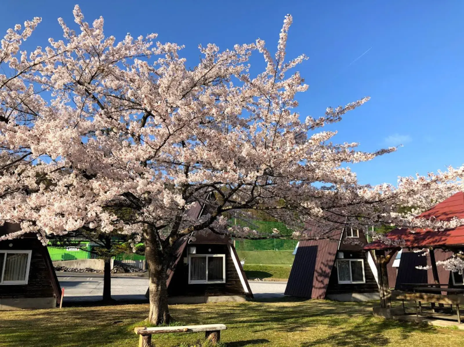 むつ矢立温泉キャンプ場の1枚目画像