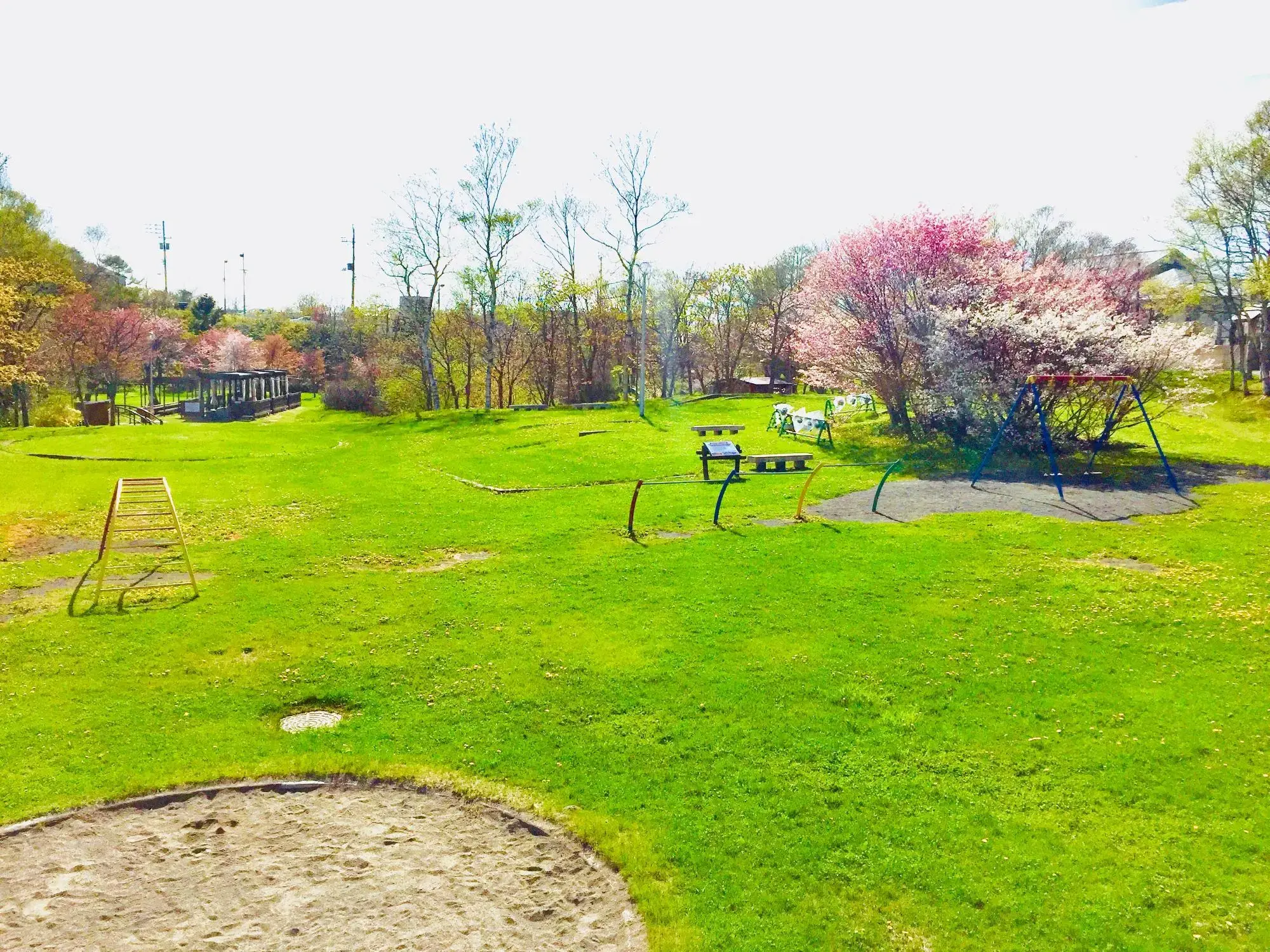 根室公園の1枚目画像