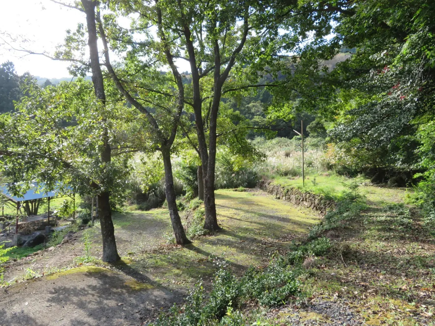大池キャンプ場の2枚目画像