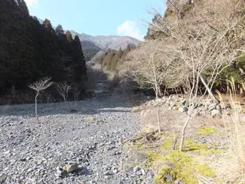 椿渓谷キャンプ場の2枚目画像