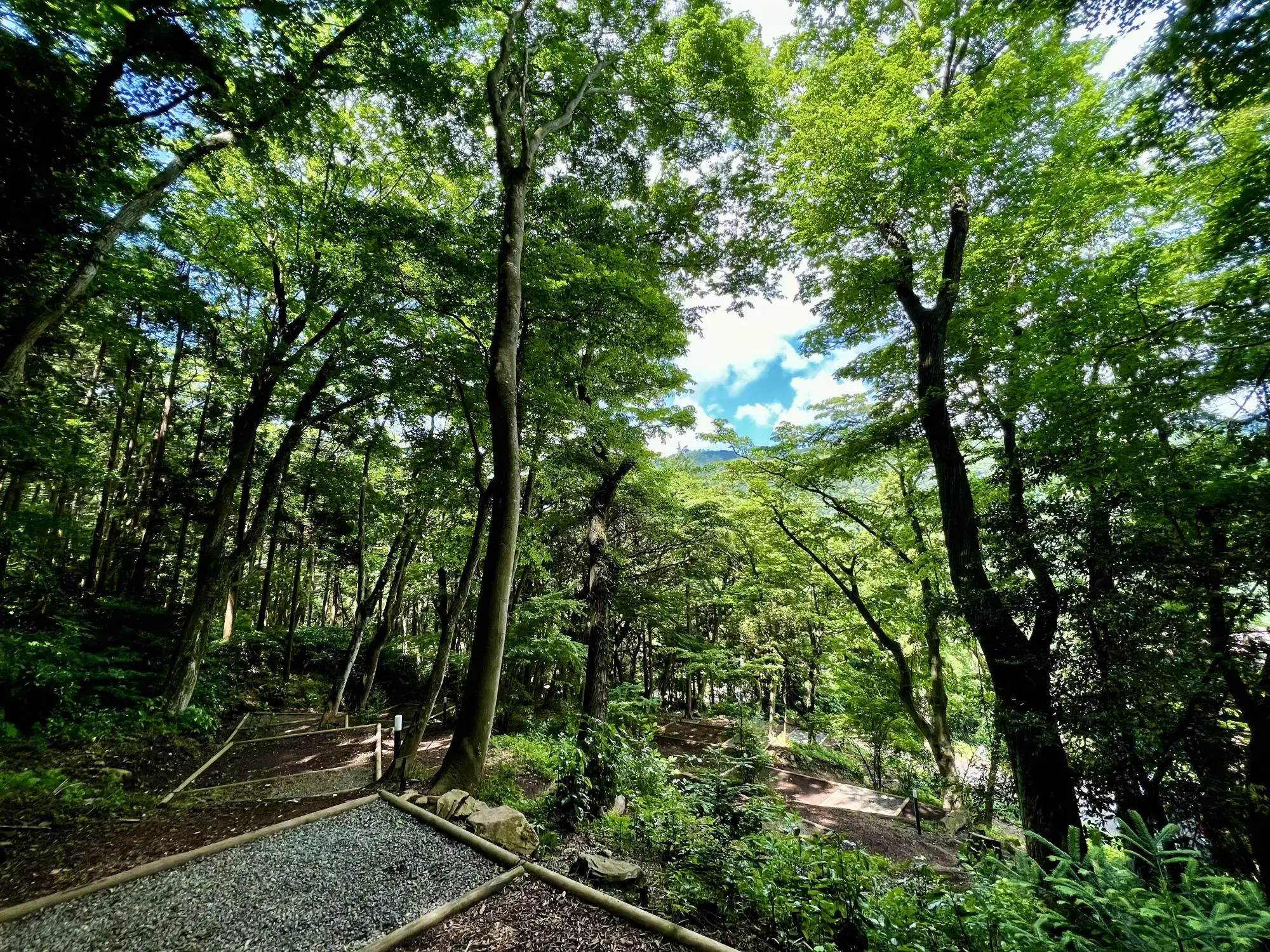 HAYATO 箱根キャンプ場の2枚目画像