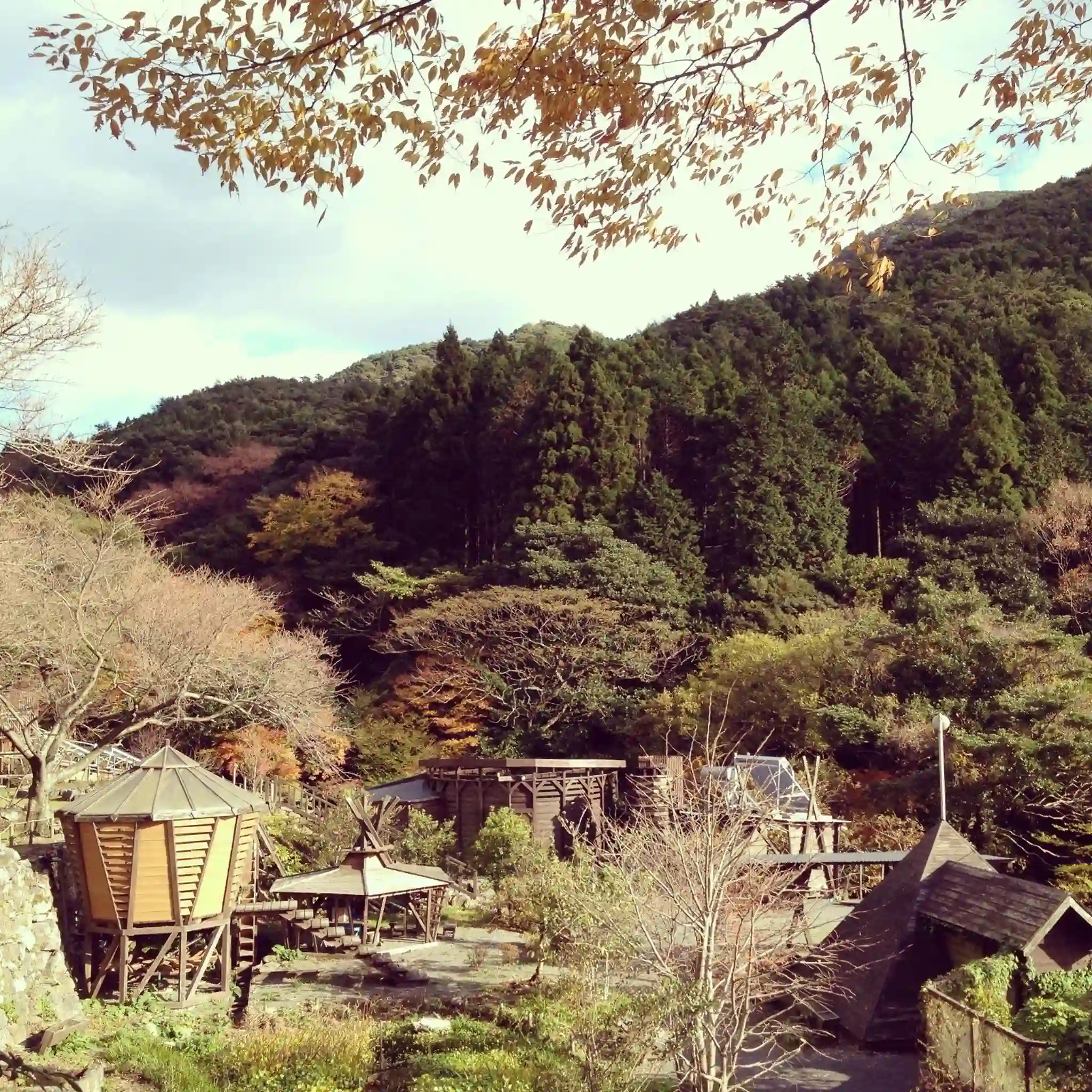 とりかぶと自然学校・生活科学研究所の1枚目画像