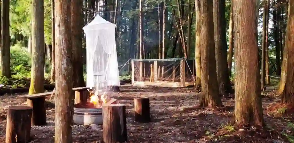 フォレスト グリフ（プライベートキャンプ場）の3枚目画像
