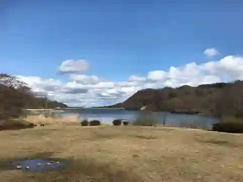 達居森と湖畔自然公園キャンプ場の1枚目画像