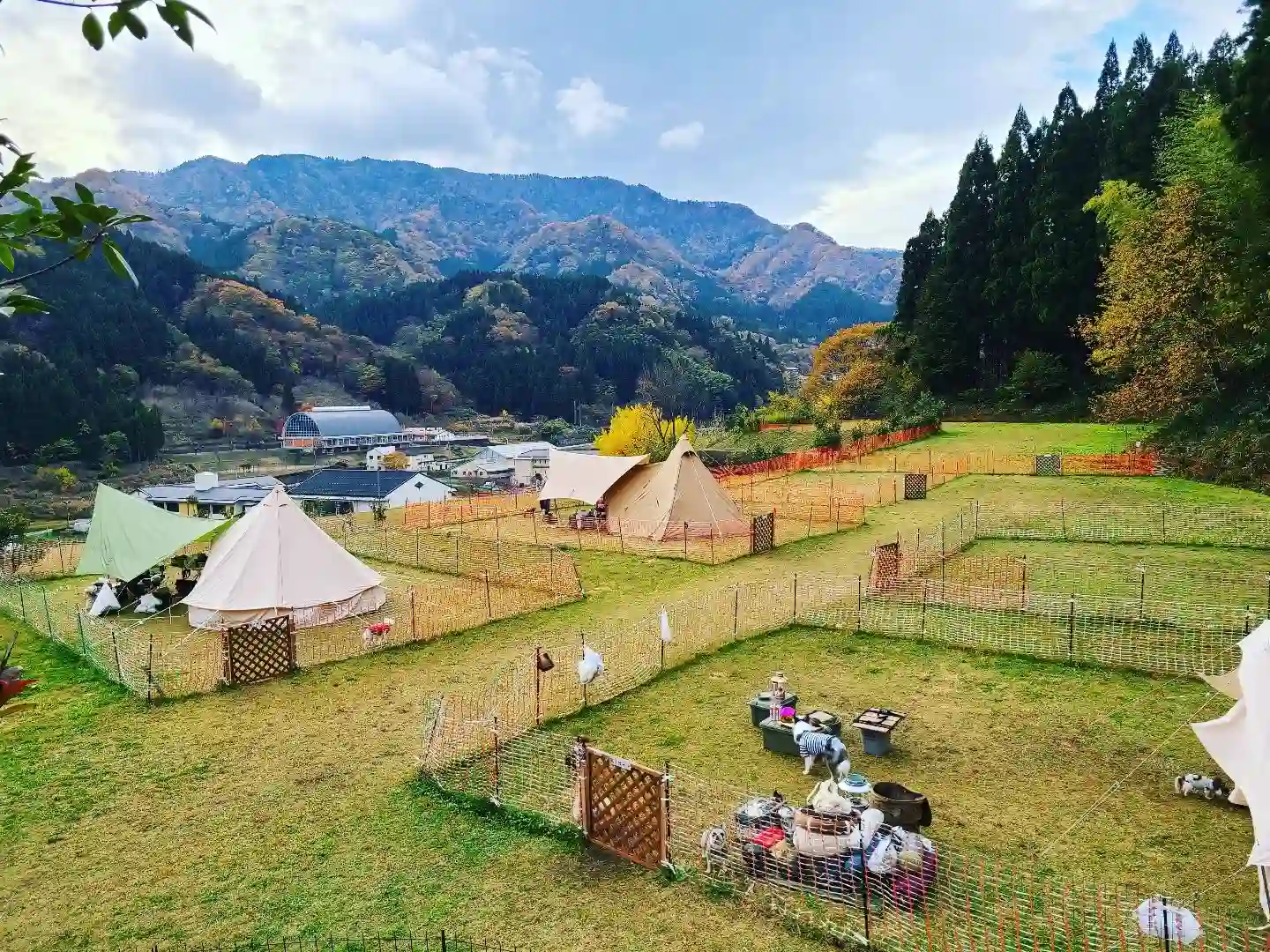 朝日と風を感じるキャンプ場の1枚目画像