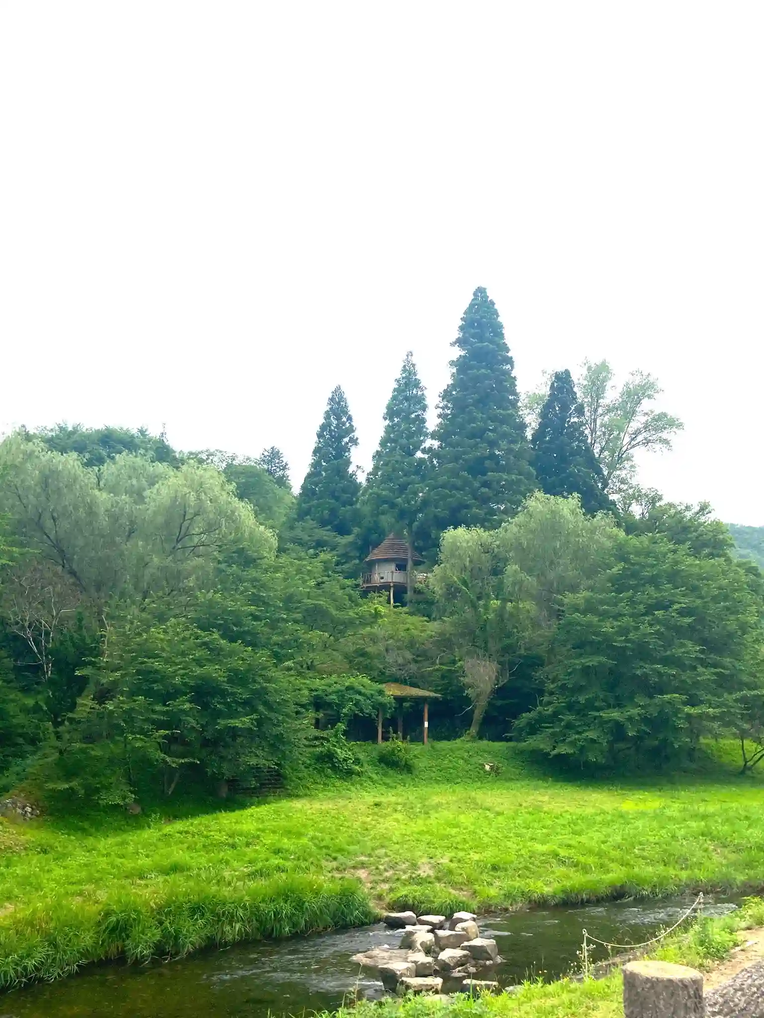 草やまの草むらの3枚目画像