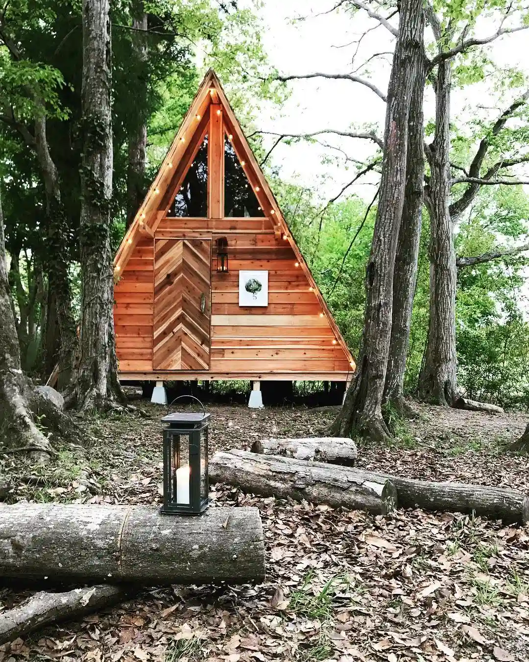 jura glampingの1枚目画像