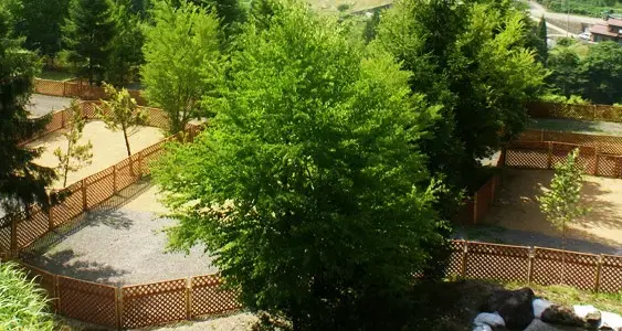 N.E.W 奥長良キャンプ場&WANKOの2枚目画像