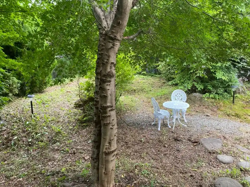 Private cottage FUJISUNの2枚目画像
