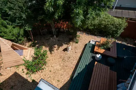 PINECONE BASEの2枚目画像