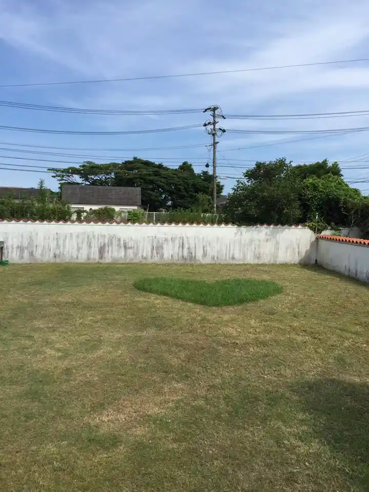 The Guest House 東の窓の3枚目画像