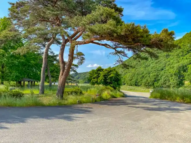 清流公園河川敷の2枚目画像