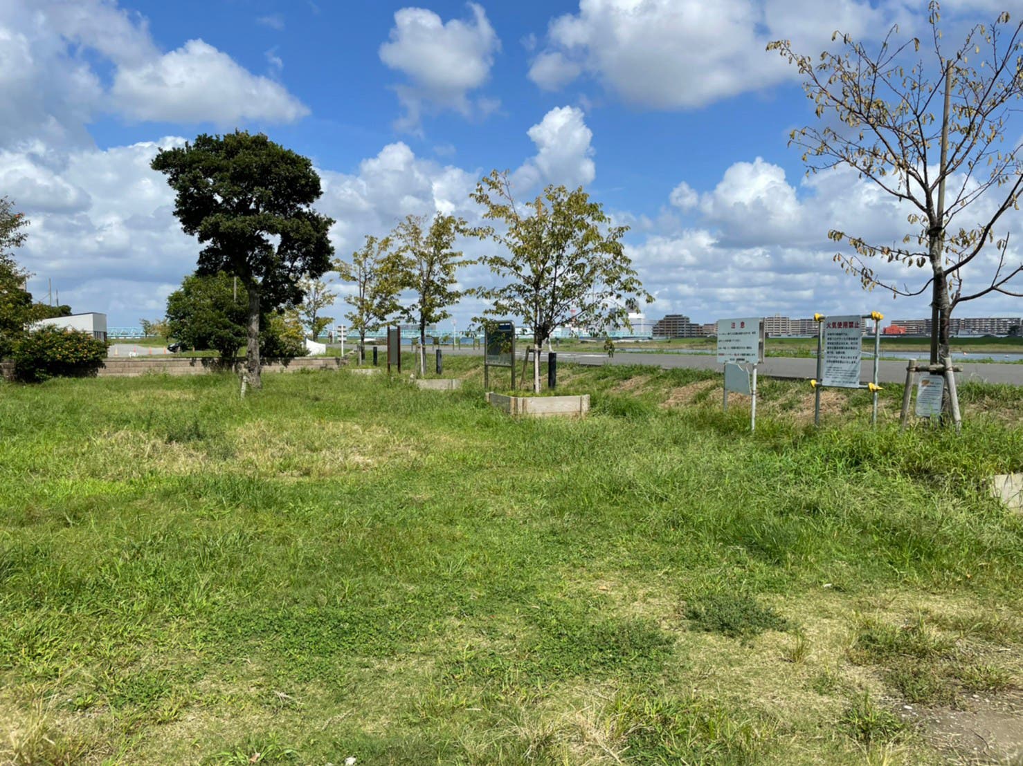 江戸川妙典スーパー堤防自由広場の1枚目画像