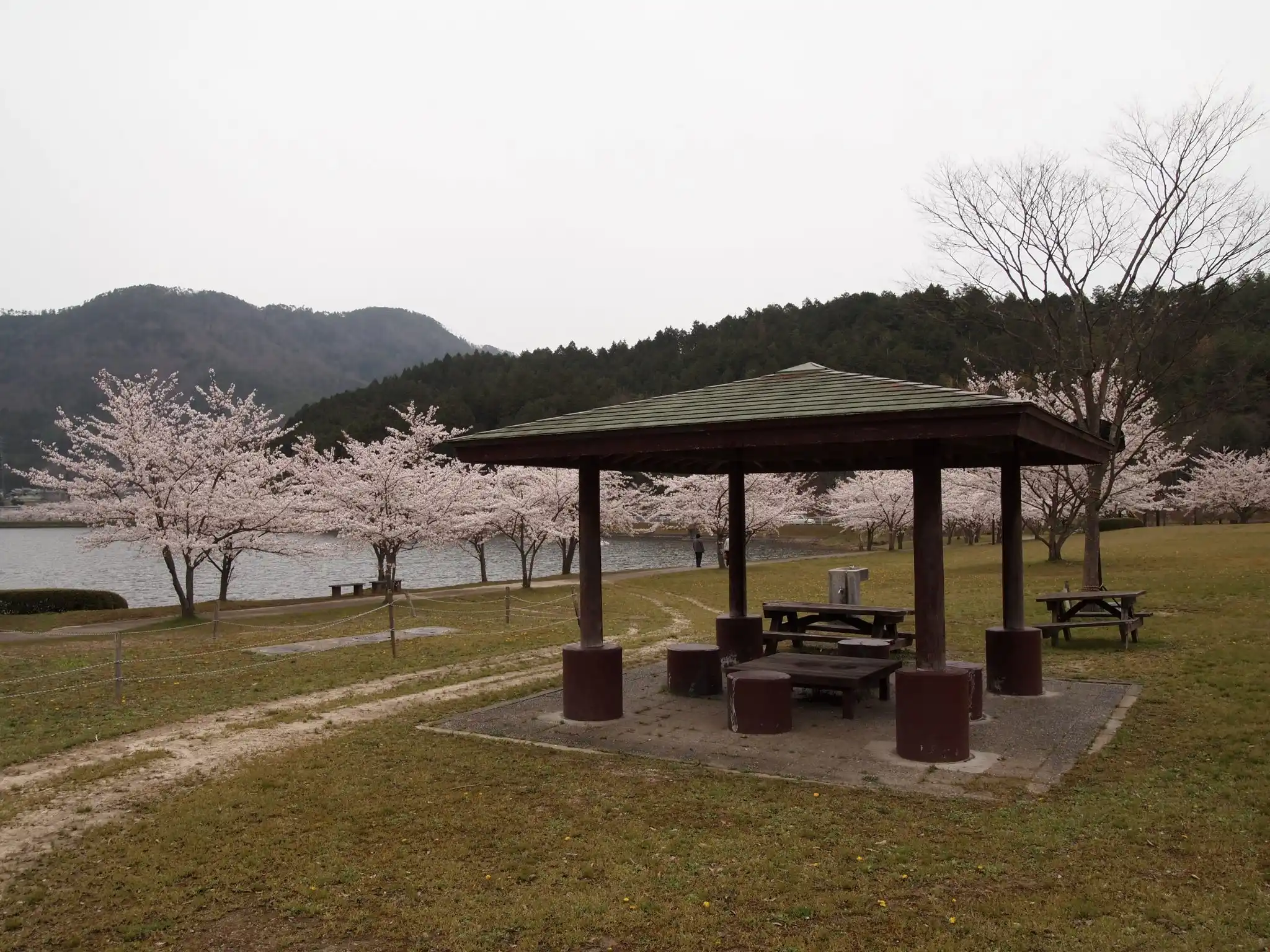 文覚ふれあい公園の1枚目画像
