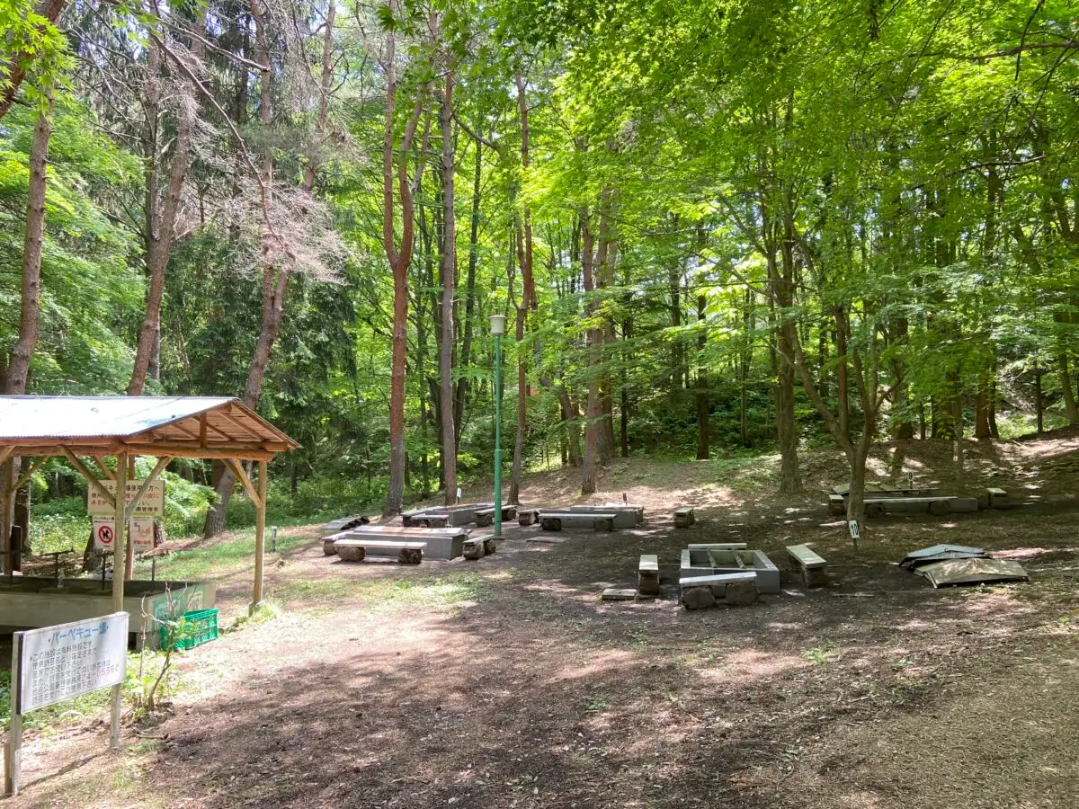 渋川市総合公園の2枚目画像