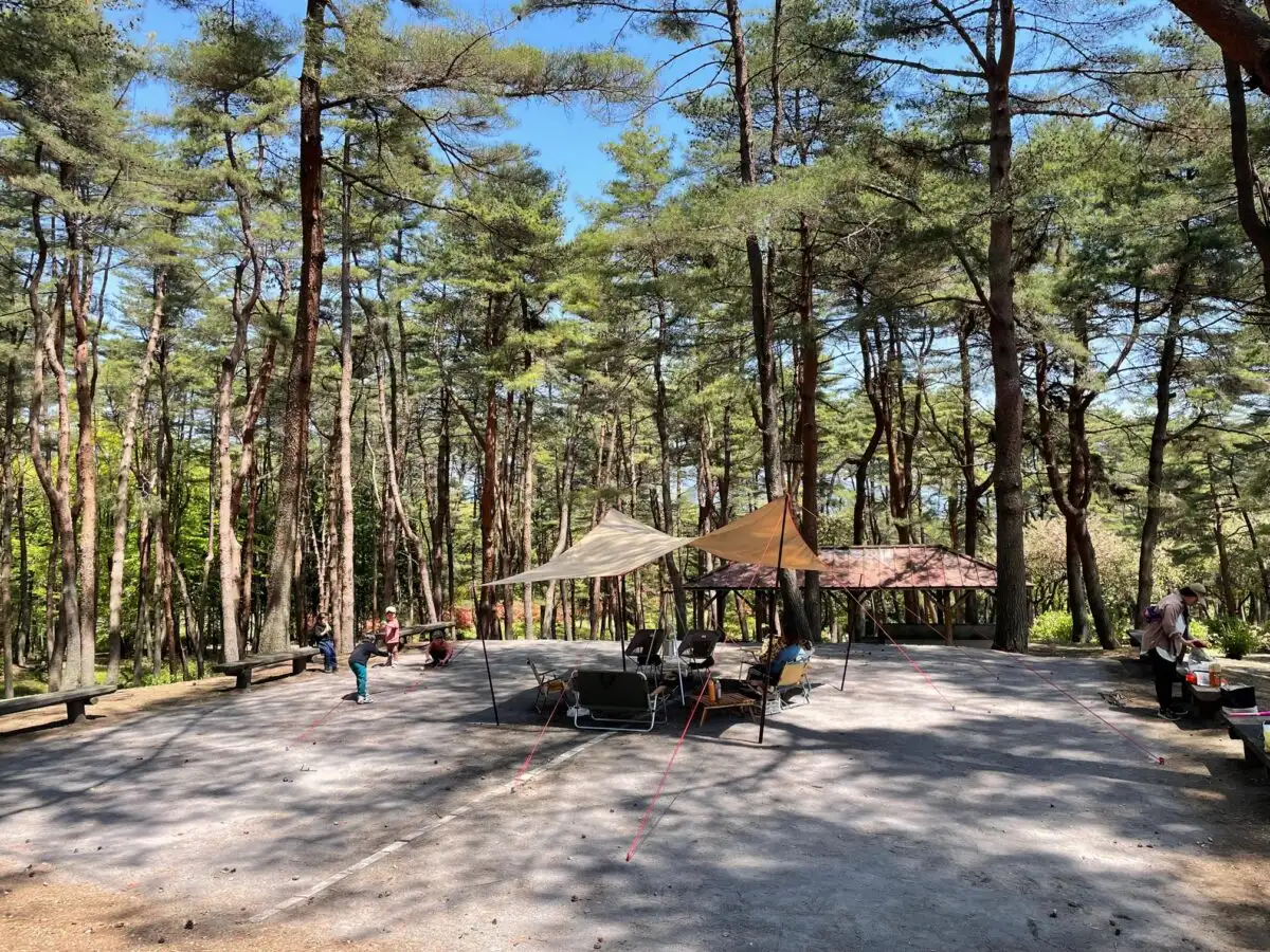 渋川市総合公園の3枚目画像
