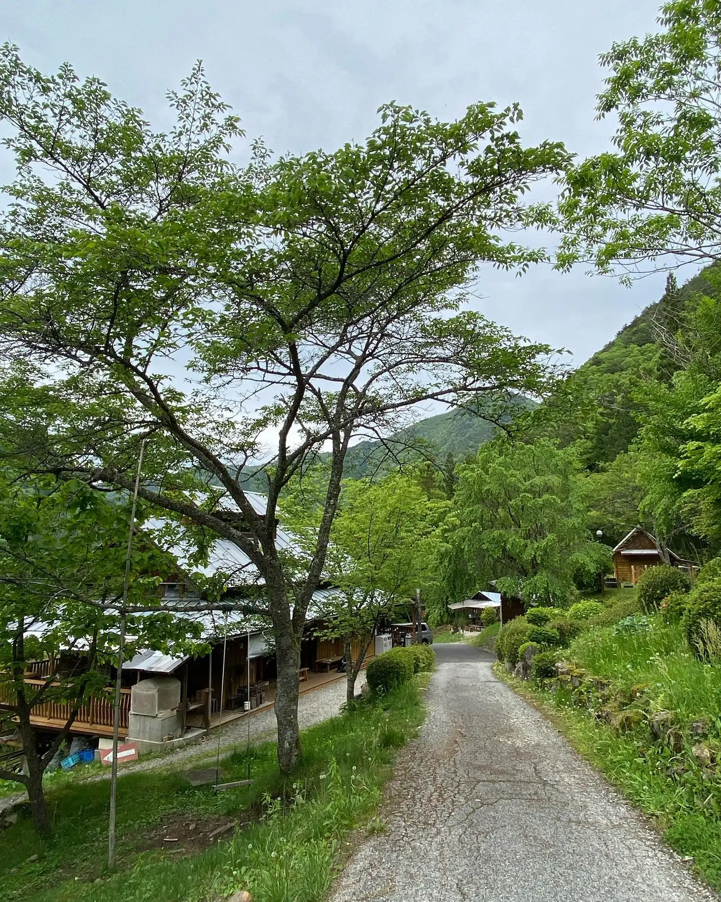 飛騨小坂ふれあいの森キャンプ場の2枚目画像