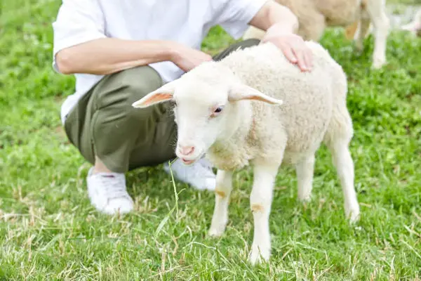 KURKKU FIELDSのサブ写真4