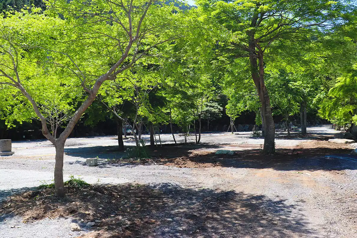 奥秩父 神庭オートキャンプ場の2枚目画像