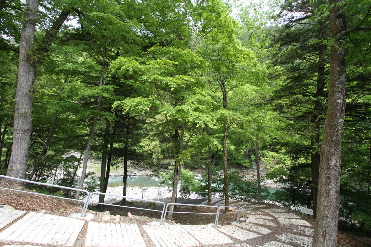 奥秩父 神庭オートキャンプ場のサブ写真7