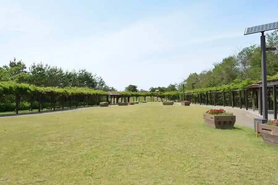 島根県立万葉公園オートキャンプ場の1枚目画像