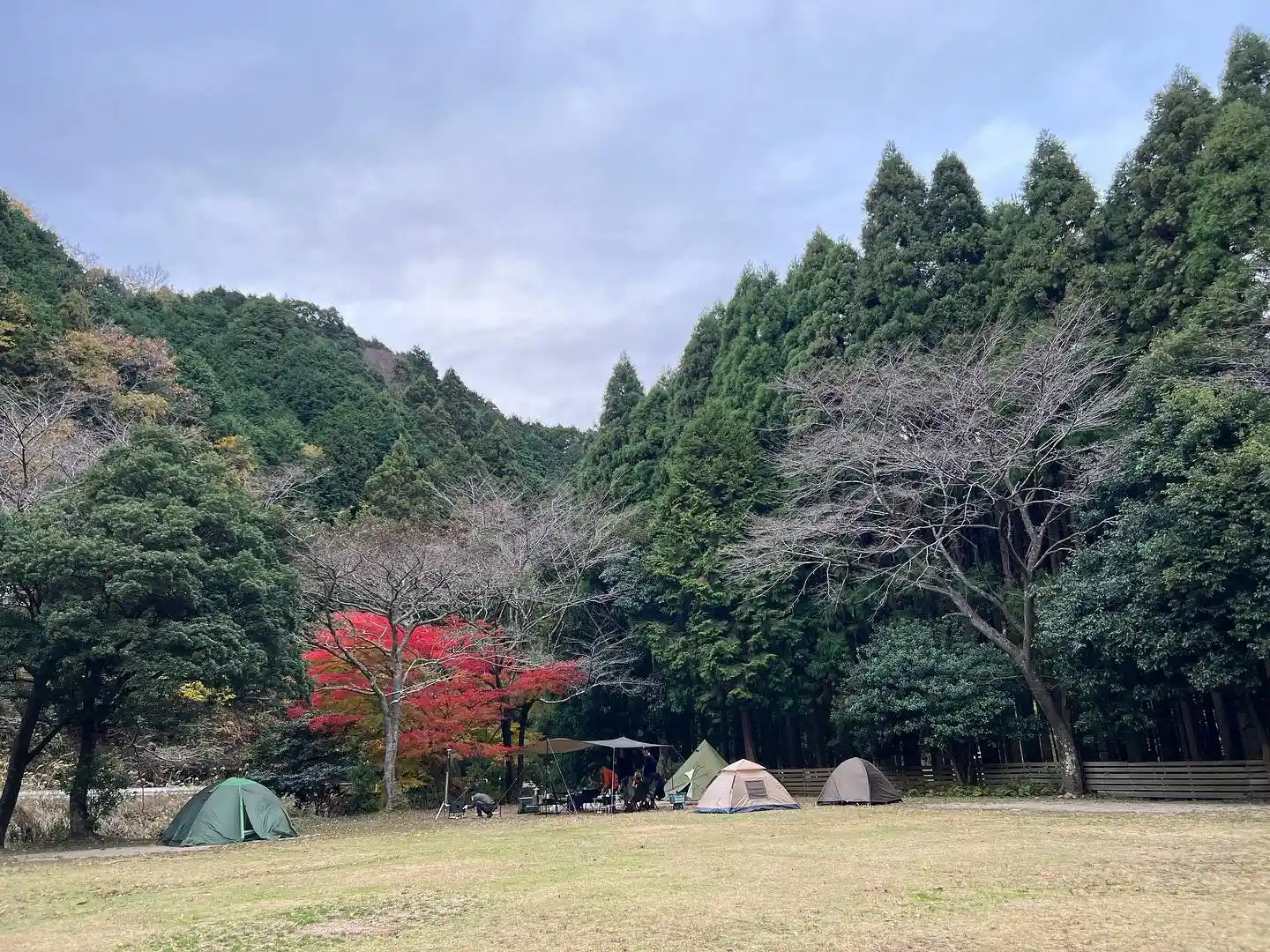 かぶとの森テラスの3枚目画像