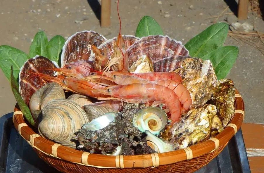海鮮WAKU・WAKU食材セット