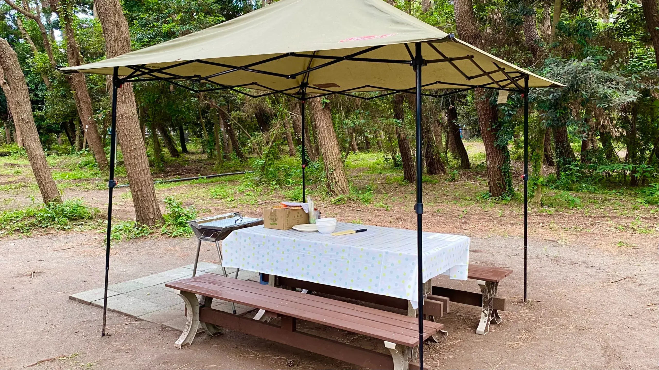 柳島キャンプ場のサブ写真9