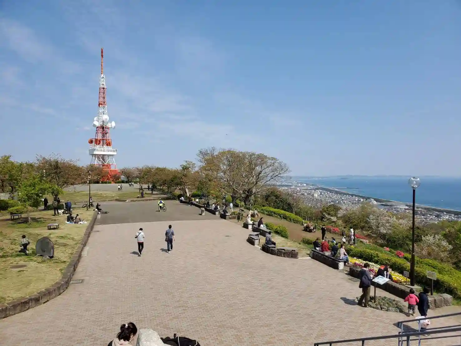高麗山公園の1枚目画像