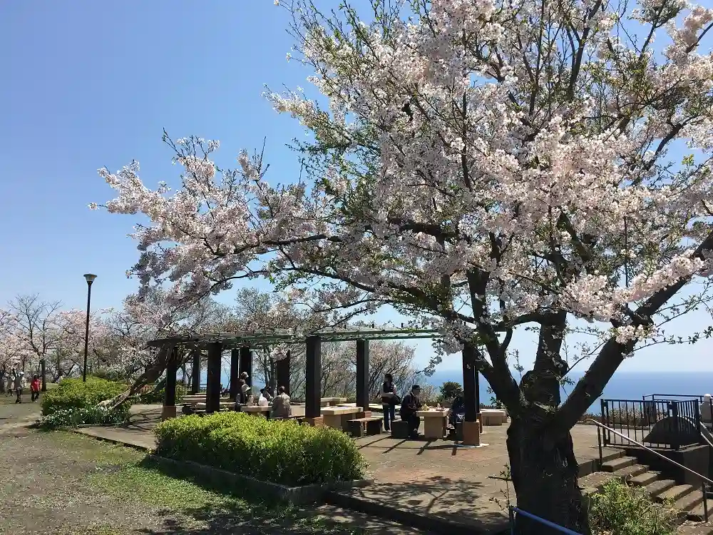 高麗山公園の3枚目画像