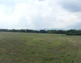 淀川河川公園三矢地区の1枚目画像