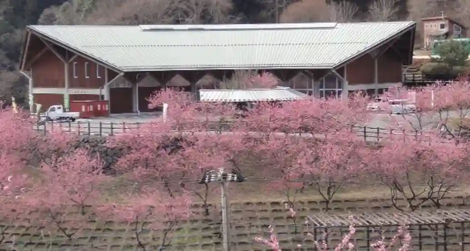 吉田元気村